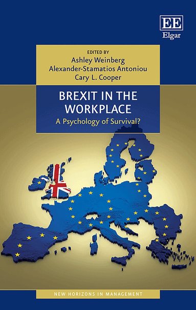 Ashley Weinberg, Alexander-Stamatios G. Antoniou, Cary Cooper - Brexit in the Workplace, Häftad