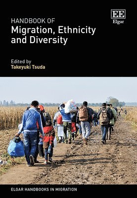 bokomslag Handbook of Migration, Ethnicity and Diversity