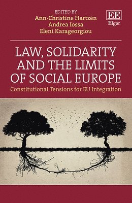 bokomslag Law, Solidarity and the Limits of Social Europe