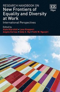 bokomslag Research Handbook on New Frontiers of Equality and Diversity at Work
