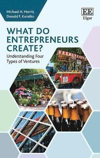 bokomslag What do Entrepreneurs Create?
