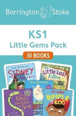 bokomslag Little Gems First Chapter Books Collection