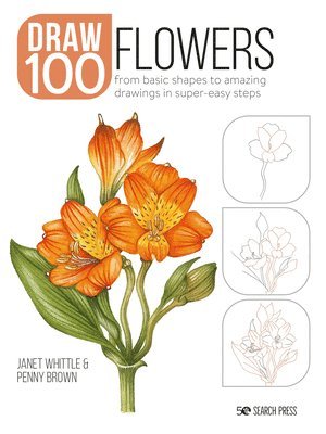 bokomslag Draw 100: Flowers