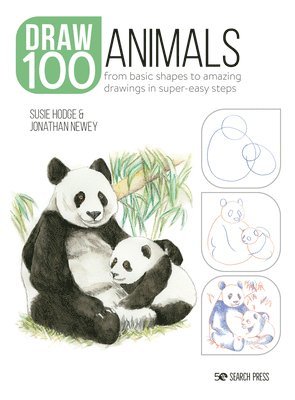 bokomslag Draw 100: Animals