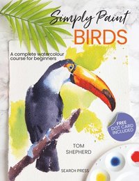 bokomslag Simply Paint Birds