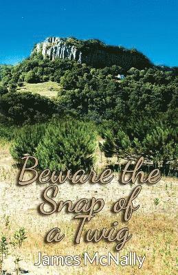 James McNally - Beware the Snap of a Twig, Häftad