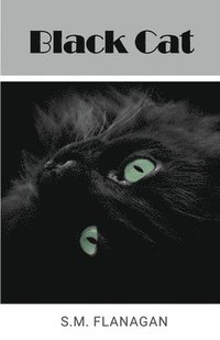 bokomslag Black Cat