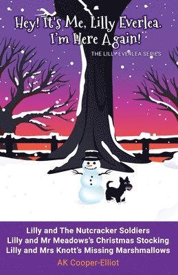 AK Cooper-Elliot, Ak Cooper-Elliot - Hey! It's Me, Lilly Everlea. I'm Here Again!, Häftad