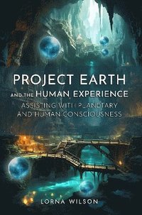 bokomslag Project Earth and the Human Experience - Assisting with Planetary and Human Consciousness