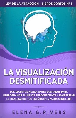 Elena G Rivers - visualización desmitificada, Häftad