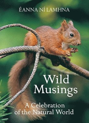 Wild Musings 1