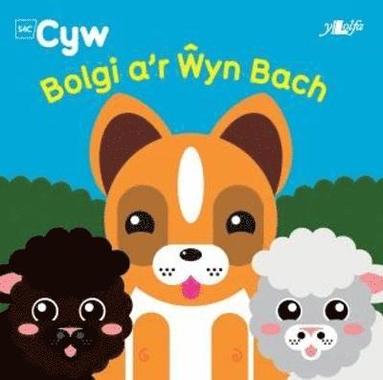 bokomslag Cyfres Cyw: Bolgi a'r ?yn Bach