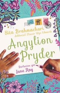 bokomslag Darllen yn Well: Angylion Pryder