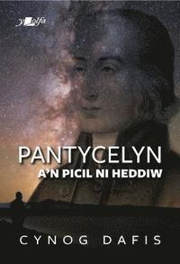 bokomslag Pantycelyn a'n Picil Ni Heddiw