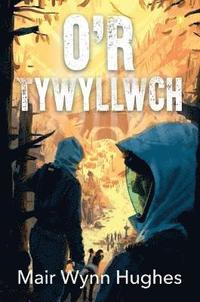 bokomslag O'r Tywyllwch