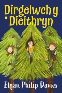 bokomslag Dirgelwch y Dieithryn