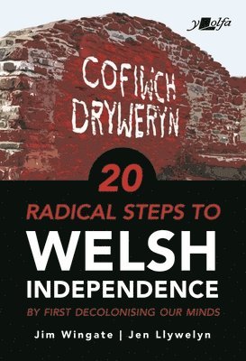 bokomslag 20 Radical Steps to Welsh Independence