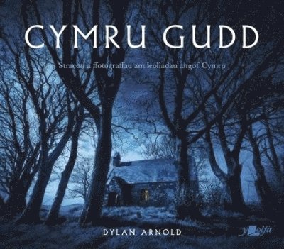 Cymru Gudd 1