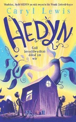 Hedyn 1