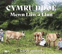 bokomslag Cymru Ddoe Mewn Lliw a Llun