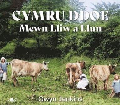 bokomslag Cymru Ddoe Mewn Lliw a Llun