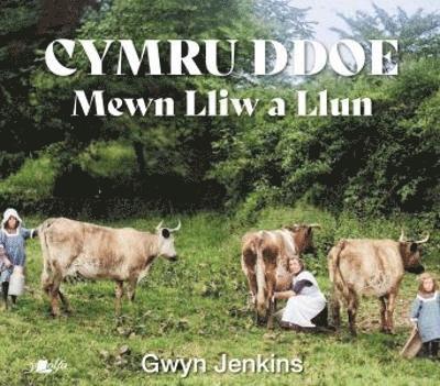 Cymru Ddoe Mewn Lliw a Llun 1