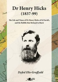 bokomslag Dr Henry Hicks (1837-99) - The Life and Times of Dr Henry Hicks of St Davids, and the Bubble That Refused to Burst