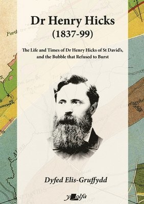 bokomslag Dr Henry Hicks (1837-99) - The Life and Times of Dr Henry Hicks of St Davids, and the Bubble That Refused to Burst