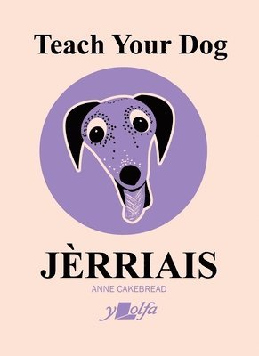 bokomslag Teach Your Dog Jrriais