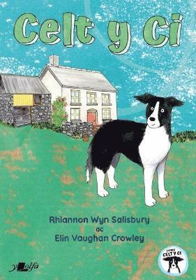 Rhiannon Salisbury - Celt y Ci, Häftad