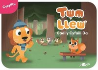 bokomslag Twm y Llew: Cadi y Cyfaill Da