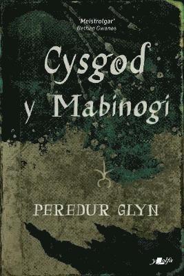 bokomslag Cysgod y Mabinogi
