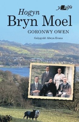 Hogyn Bryn Moel 1