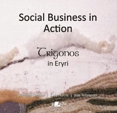 bokomslag Social Business in Action - Trigonos in Eryri