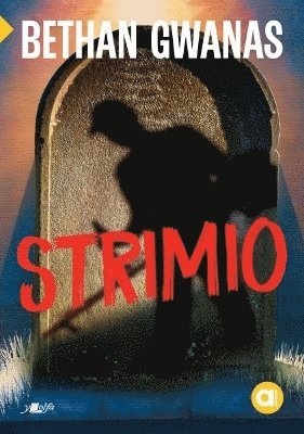 bokomslag Cyfres Amdani: Strimio