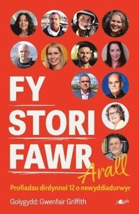 bokomslag Fy Stori Fawr Arall - Profiadau dirdynnol 12 o newyddiadurwyr