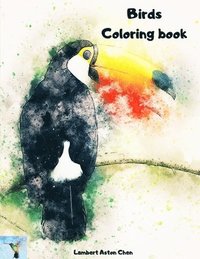 bokomslag Birds Coloring book
