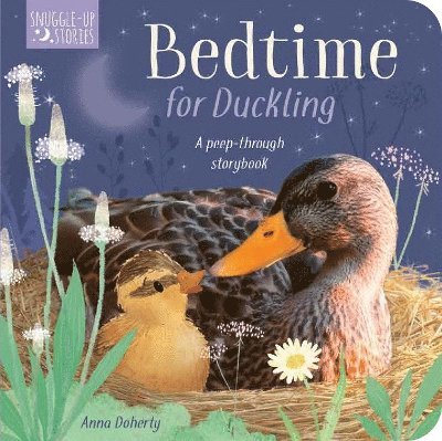 Bedtime for Duckling 1