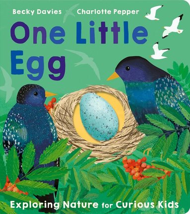 Becky Davies - One Little Egg, Kartonnage