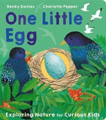 bokomslag One Little Egg
