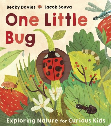 Becky Davies - One Little Bug, Kartonnage