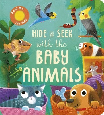 Hide and Seek with the Baby Animals 1