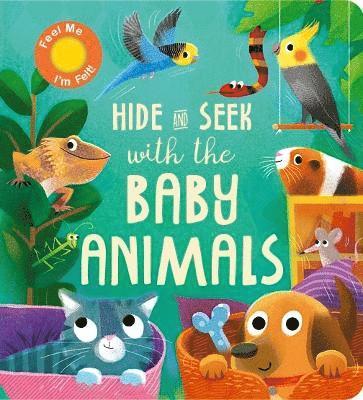 Hide and Seek with the Baby Animals