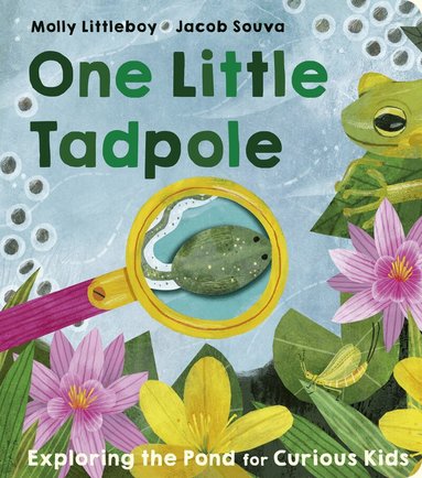 Molly Littleboy - One Little Tadpole, Kartonnage