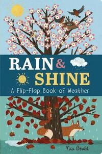 bokomslag Rain & Shine: A Flip-Flap Book of Weather