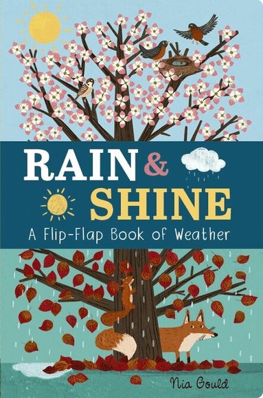 Molly Littleboy - Rain & Shine: A Flip-Flap Book of Weather, Kartonnage