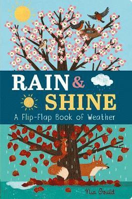 bokomslag Rain & Shine: A Flip-Flap Book of Weather