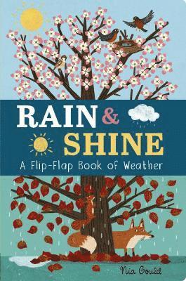 Rain & Shine: A Flip-Flap Book of Weather 1