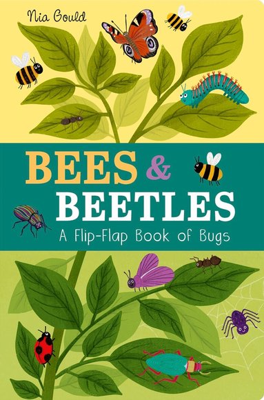 Molly Littleboy - Bees & Beetles: A Flip-Flap Book of Bugs, Kartonnage
