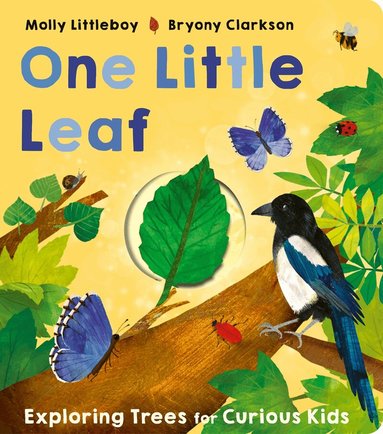 Molly Littleboy - One Little Leaf, Kartonnage